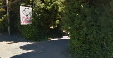 Motel Los Leones, Valdivia - Moteles-Chile
