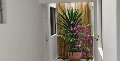 e296b7 motel babilonia arica