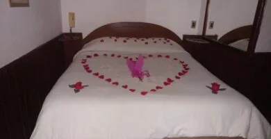 e296b7 motel eclipse de luna arica